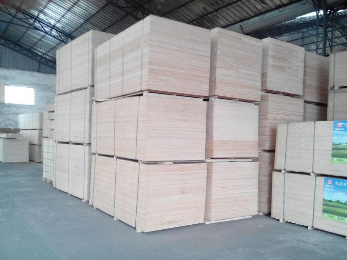 Pappel und Eukalyptus-Kern-Film stellten Sperrholz für Bürogebäude-Hochbau gegenüber