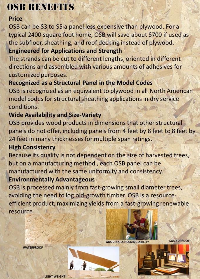 Brett des Pappel-Kern-Hartholz-15mm OSB 3, wasserdichte OSB-Holzschutzblätter