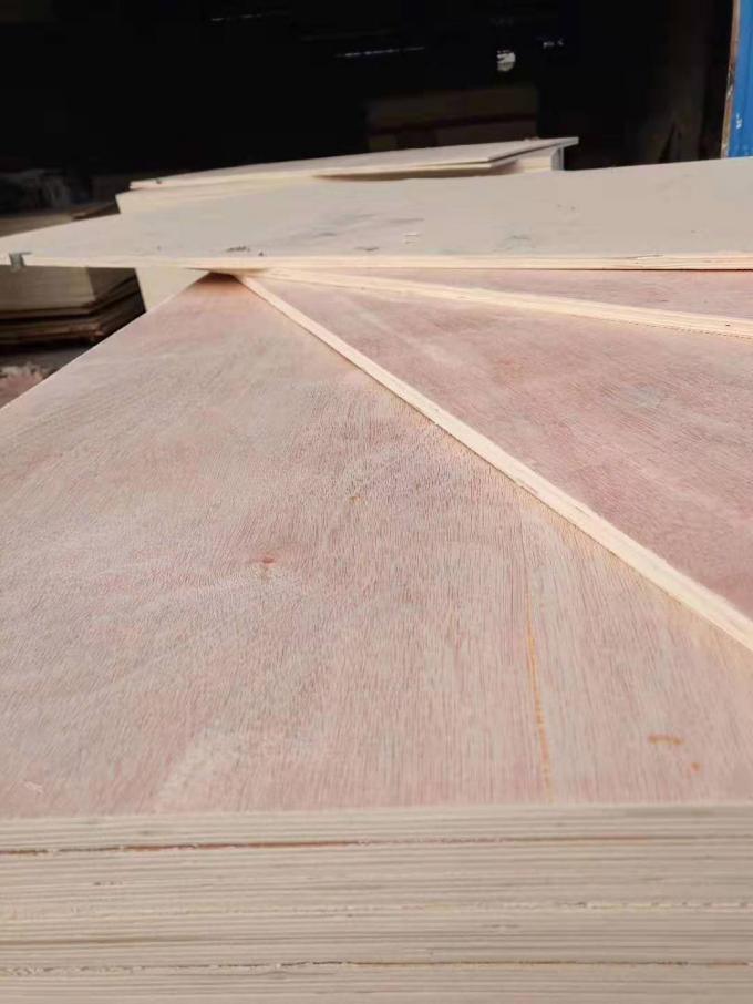 Eukalyptus-Handelsklasse-Sperrholz mit Okoume stellte Standardgröße gegenüber