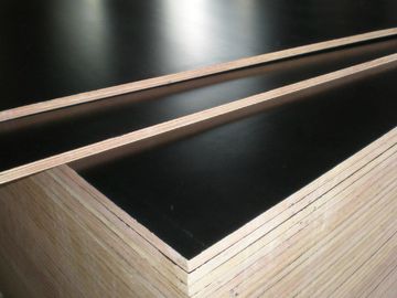 hot sale low price good quality 9mm 11mm 12mm 15mm 18mm film faced plywood in Africa